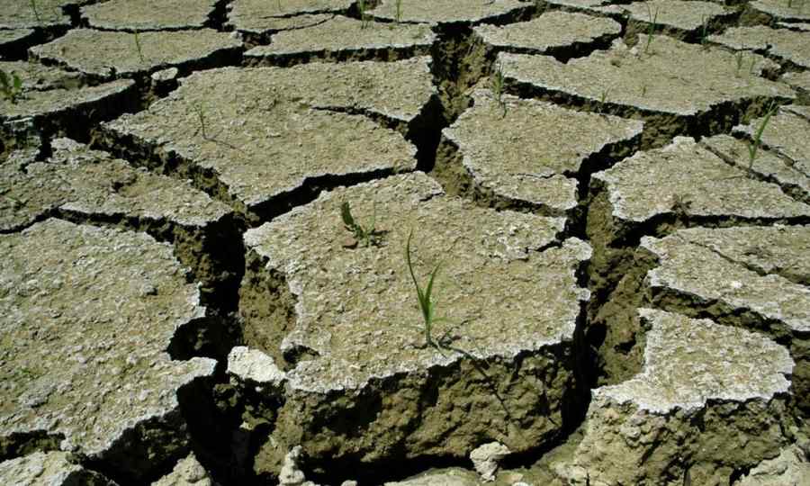 seceta-arid-canicula-pamant.nus7omyfxj