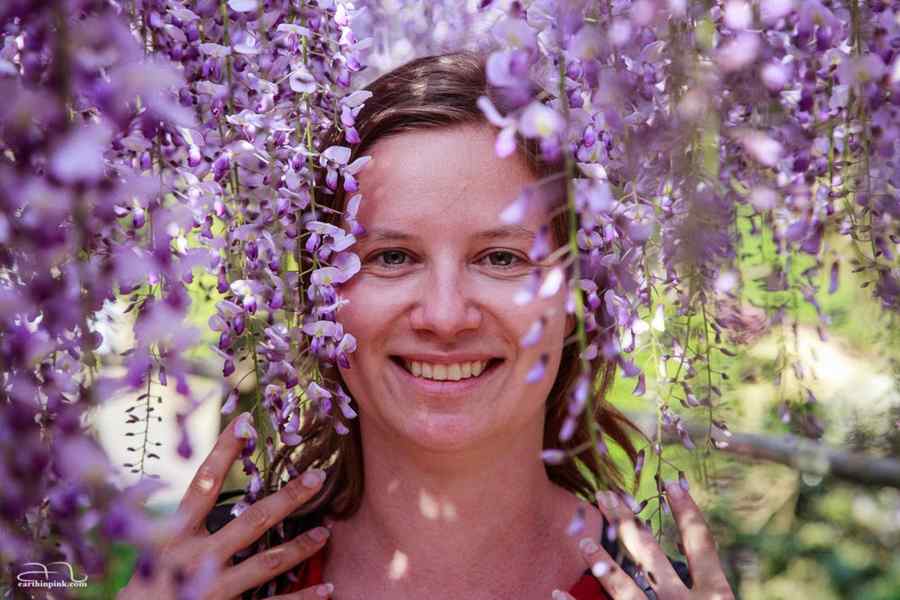 Când se ivește „vântul bun”, să întindem imediat pânzele!