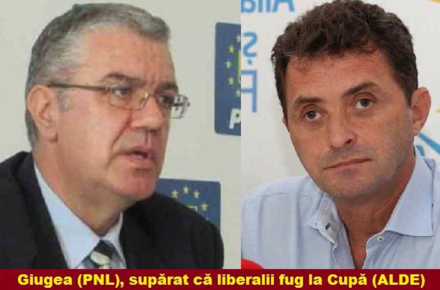 PNL: „ALDE este o rîmă”; ALDE: „PNL – o ilustrare perfectă a stării de ebrietate politică