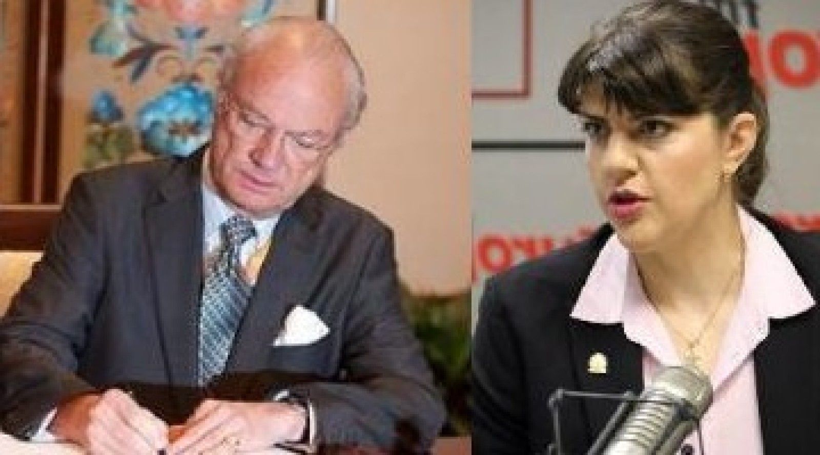 „Cucuveaua mov” a primit Ordinul „Steaua polară” de la Regele Suediei