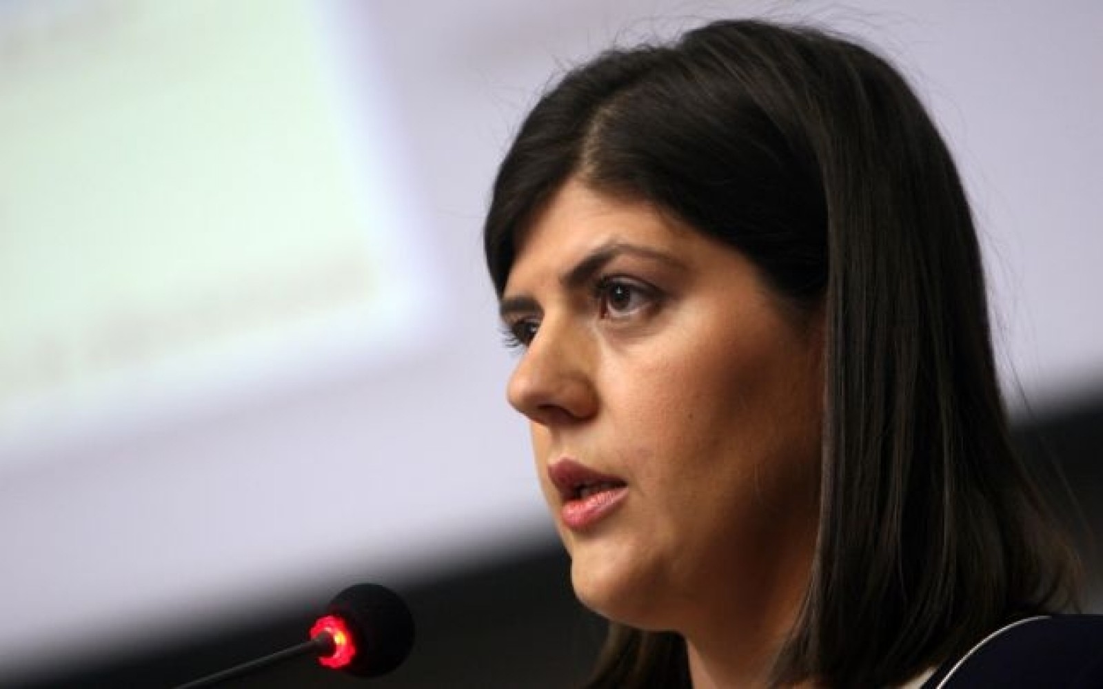 Roșca Stănescu: Ministrul Justiției va cere 100% demiterea lui Kovesi