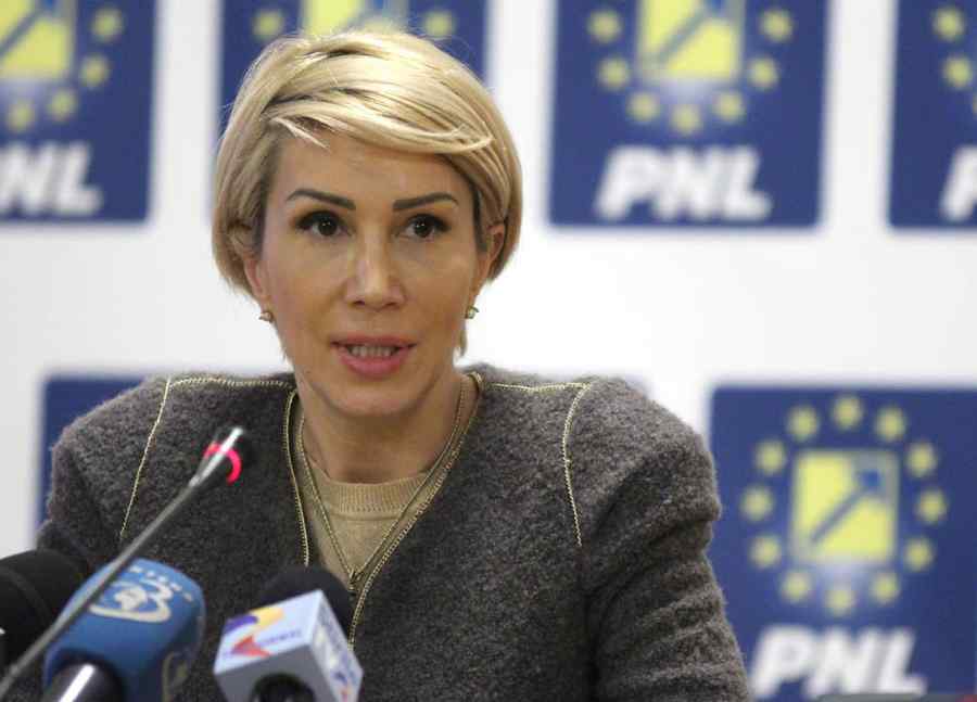 PNL contestă la CCR organizarea sesiunii extraordinare