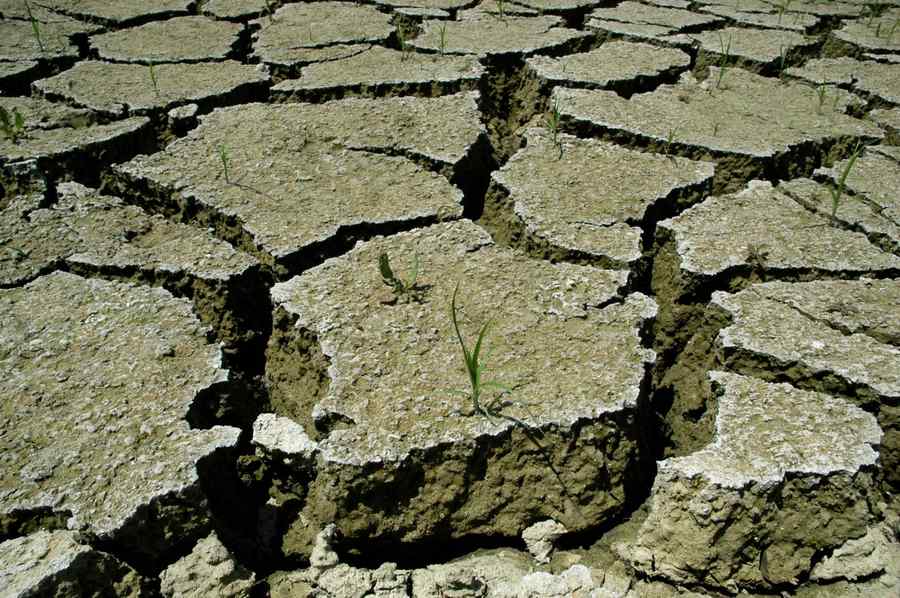 Vremea extremă ar putea ucide 150.000 de oameni pe an în Europa