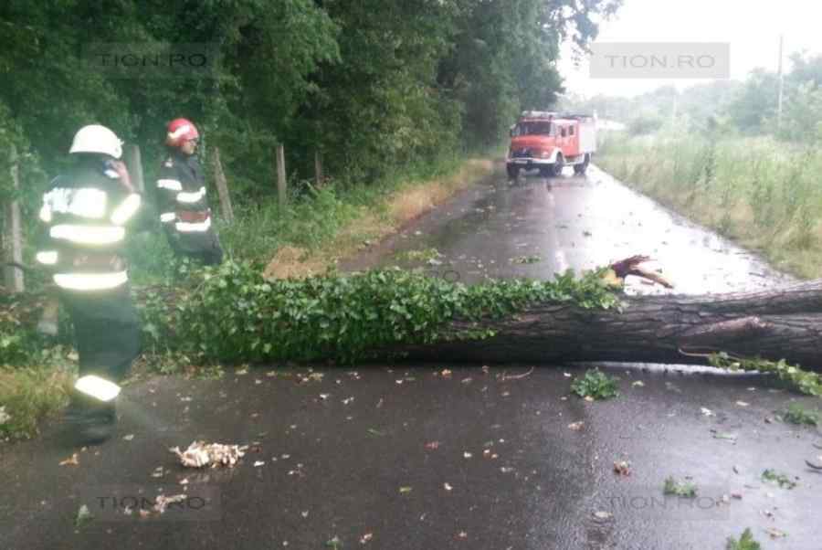 Cum s-a produs urgia din vestul țării