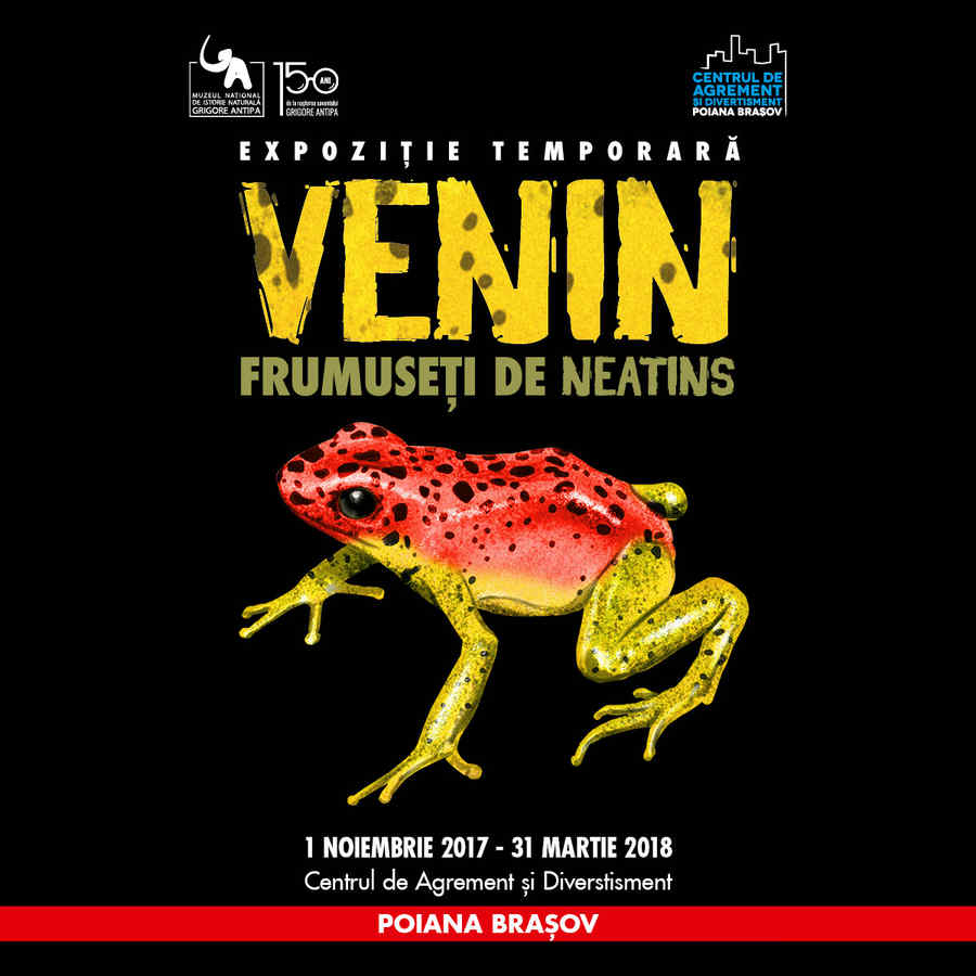 Antipa la Poiana Brașov