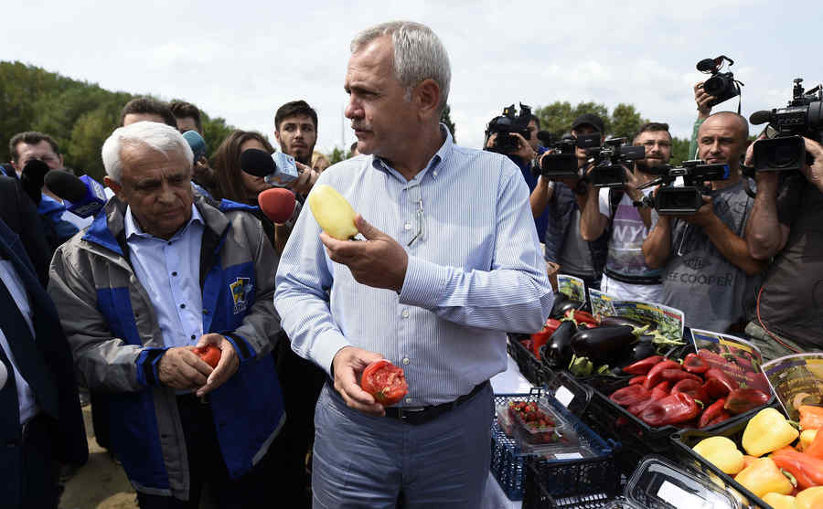 Legea pământului, pe mâna deputaților