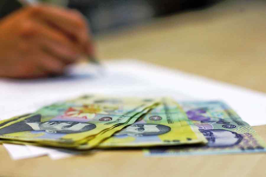 Recolta Poliției în campania electorală