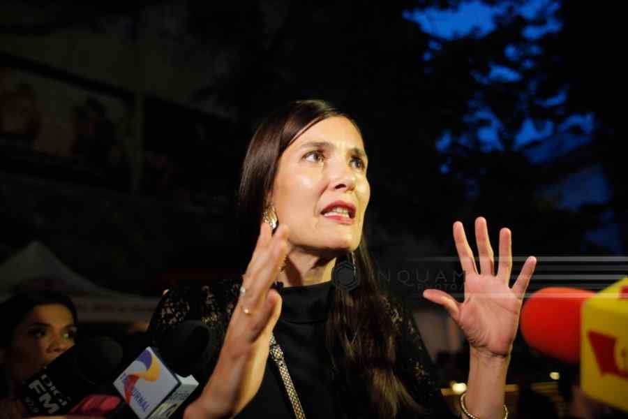 Clotilde Armand, liberalii și milioanele din „abateri”