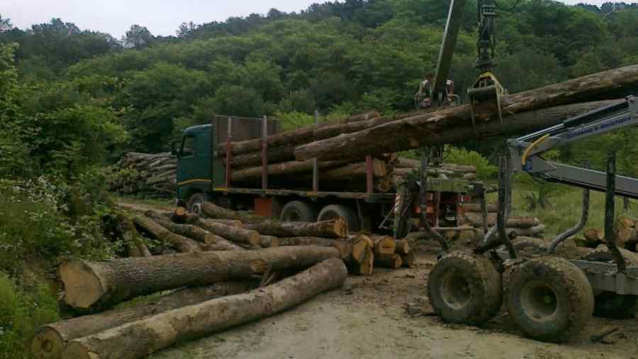 Petiţia Declic, semnată de mii de oameni