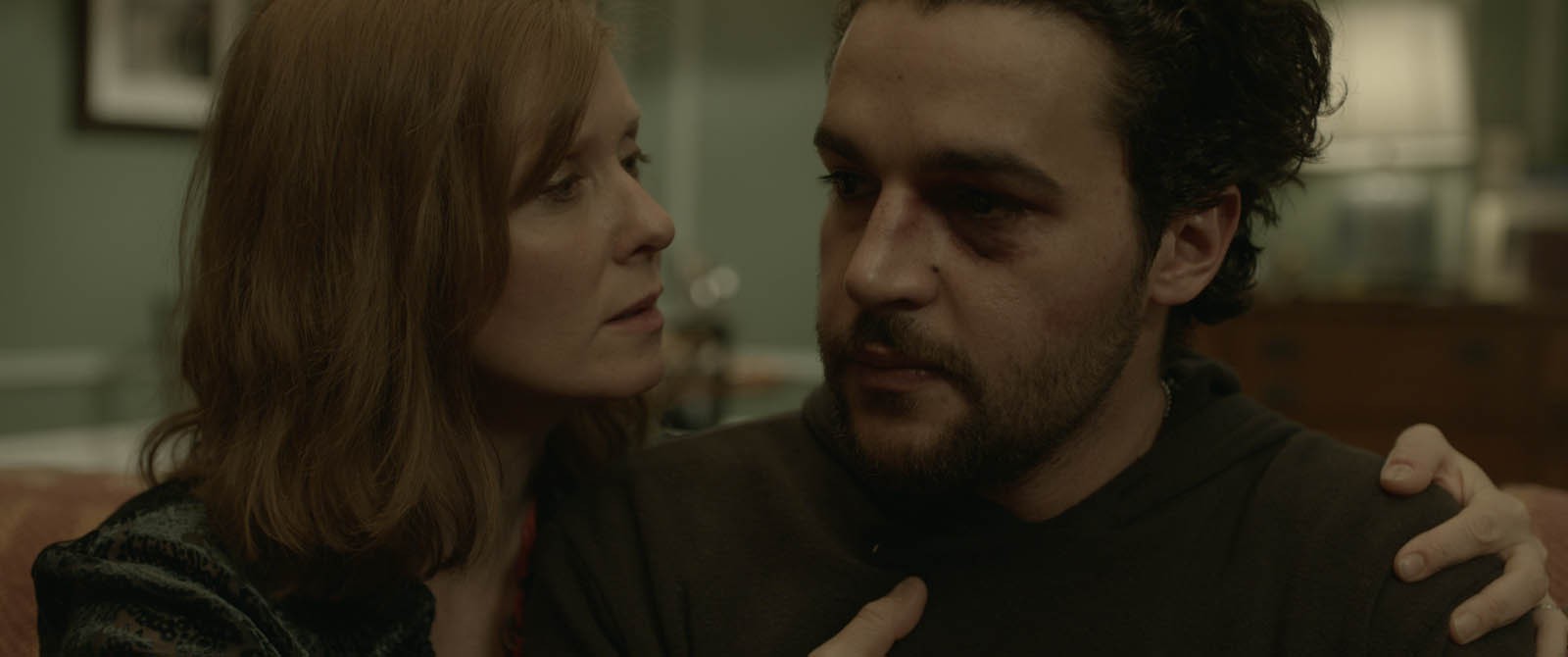 Nae Caranfil, Ambasadorul „Audience Award Film Festival”