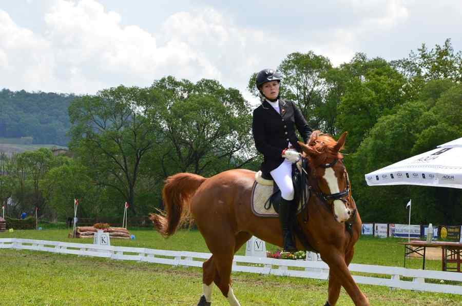 Graţie şi forţă, demonstraţii ecvestre la Transylvania Horse Show