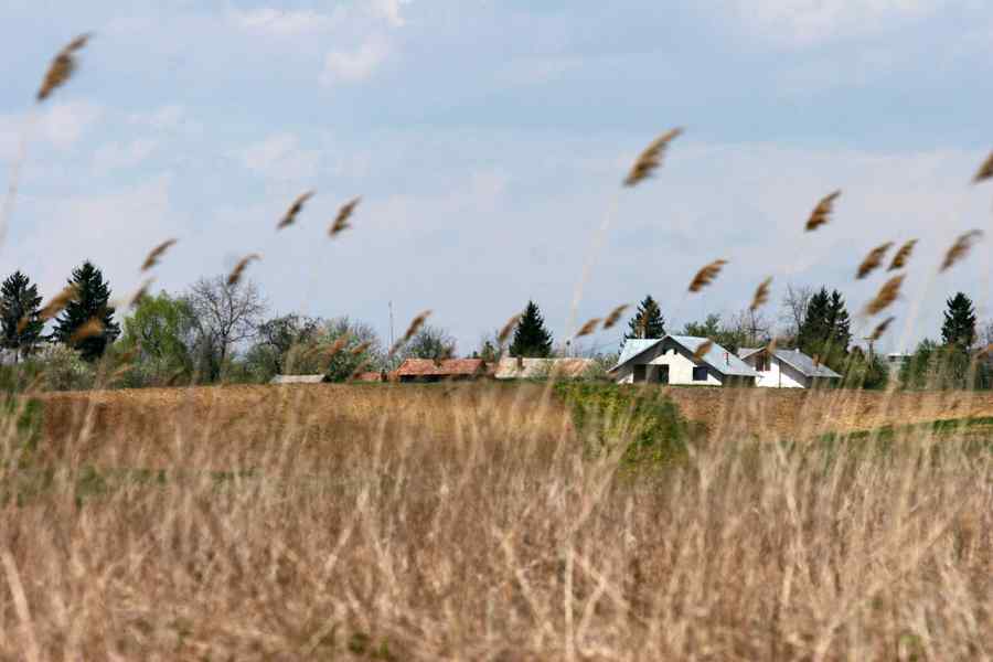 Anunț neașteptat de la Guvern privind sectorul agricol și cel de cercetare