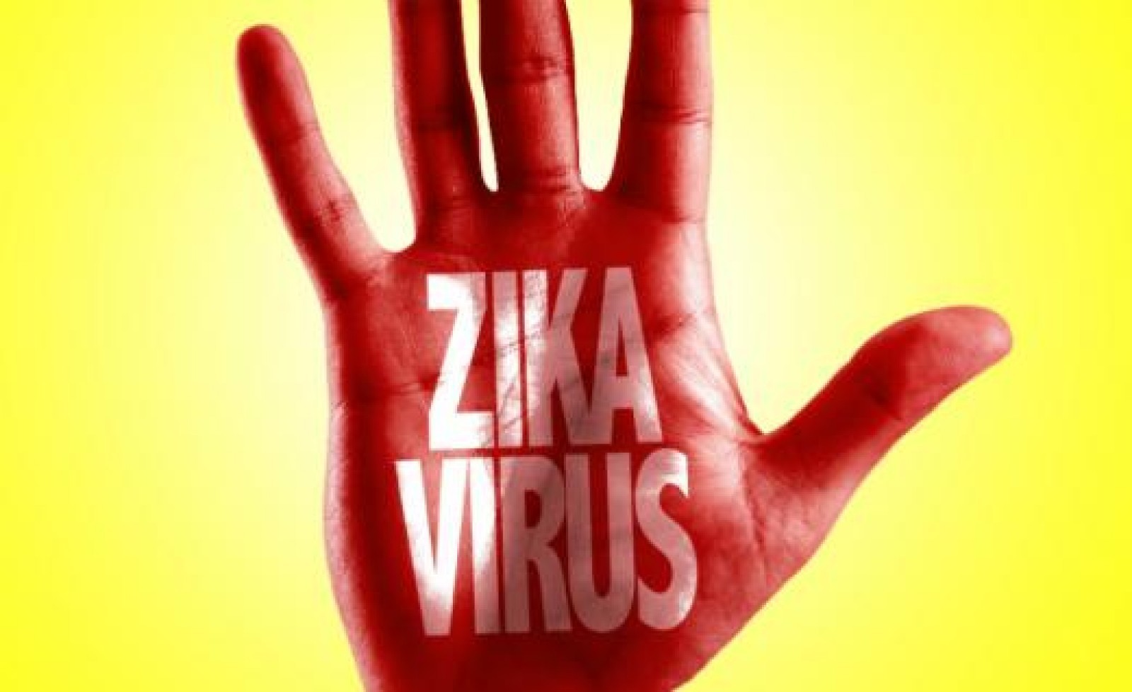 A fost stabilit riscul unei epidemii în Europa cu virusul Zika