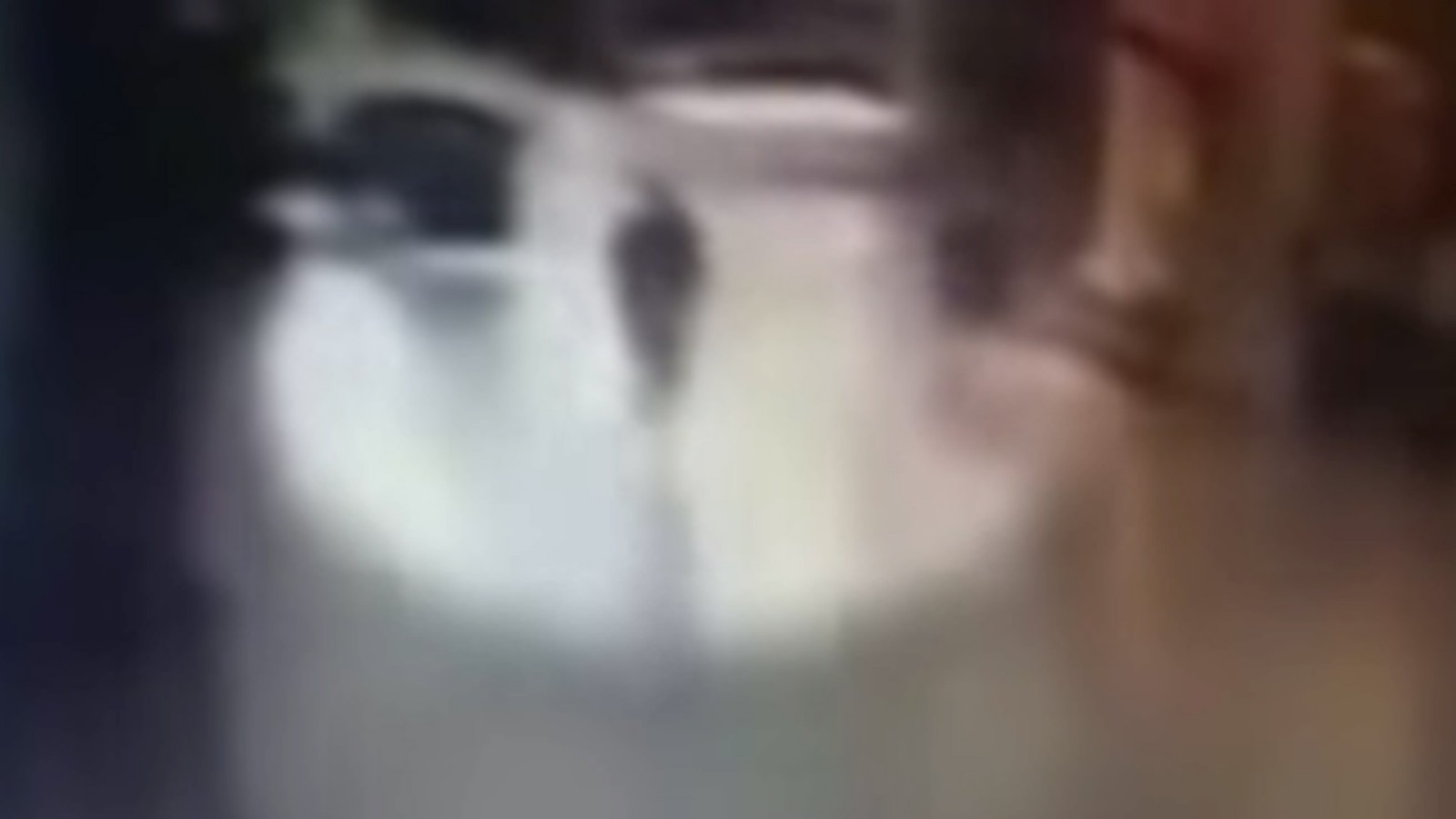 Momentul în care un atentator este împușcat pe aeroportul Ataturk (video)