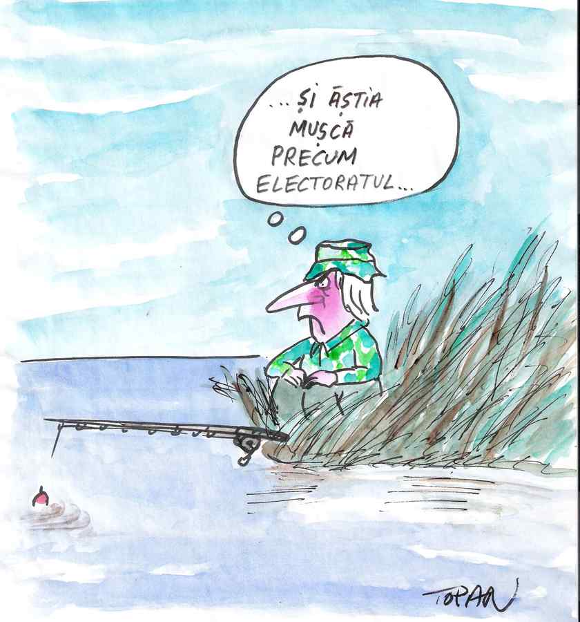 Cum muşcă electoratul