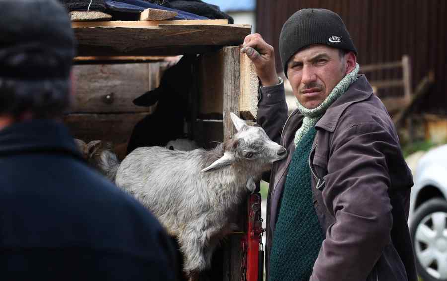 Târg de Sfântul Gheorghe