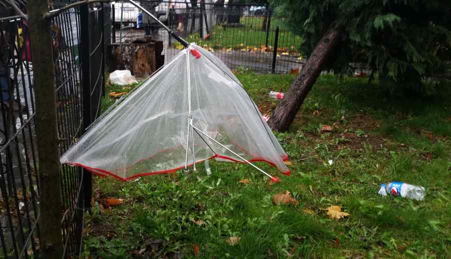 Cum va fi vremea în următoarele zile