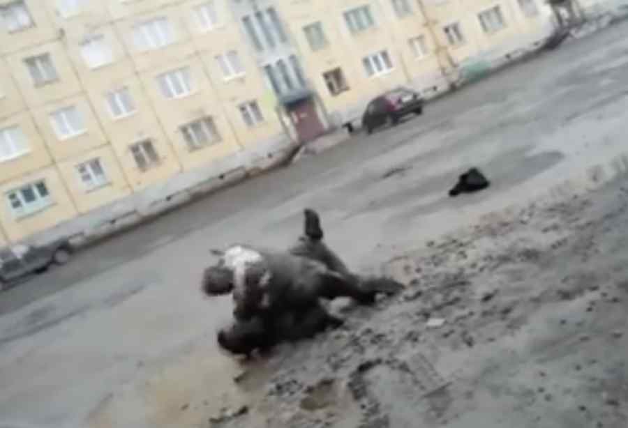 Cum comentează un fost vicepremier rus o bătaie