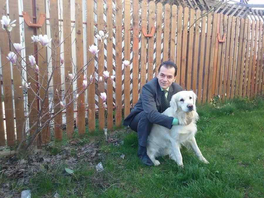 Cum se bucură Ludovic Orban de primăvară