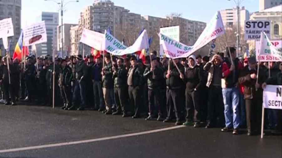 Pădurarii pichetează sediul Guvernului