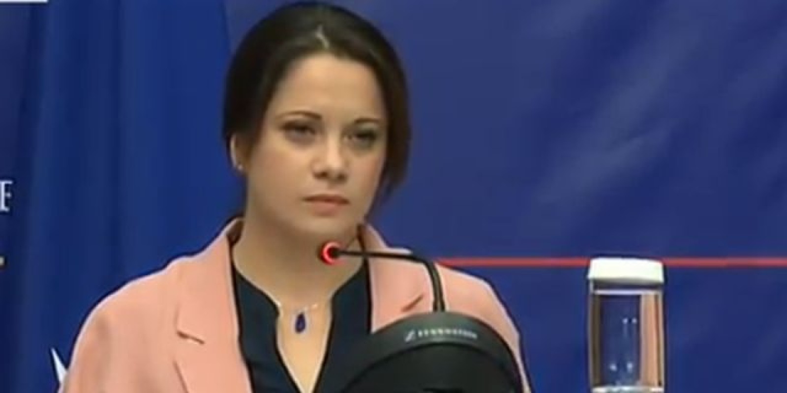 Purtătorul de cuvânt al MAE îşi încetează activitatea