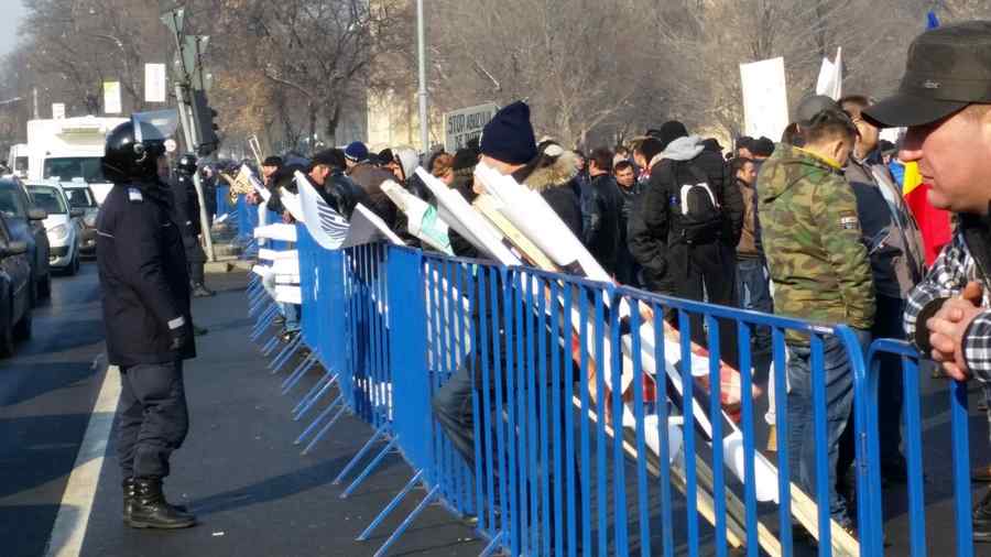 Mii de salariați din industria lemnului, protest în fața Guvernului