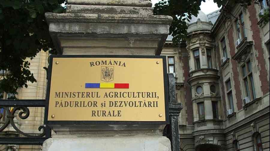 Apicultorii protestează faţă de autorizarea pesticidelor de mare risc