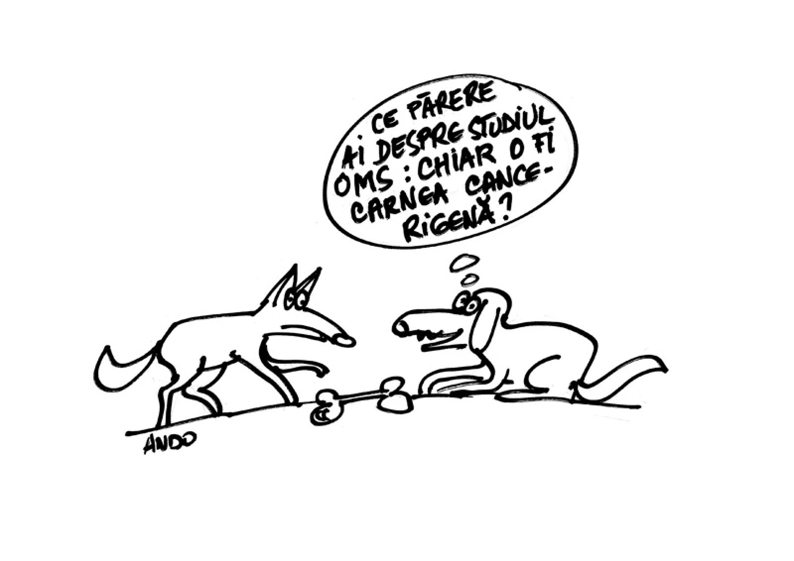 Analiză
