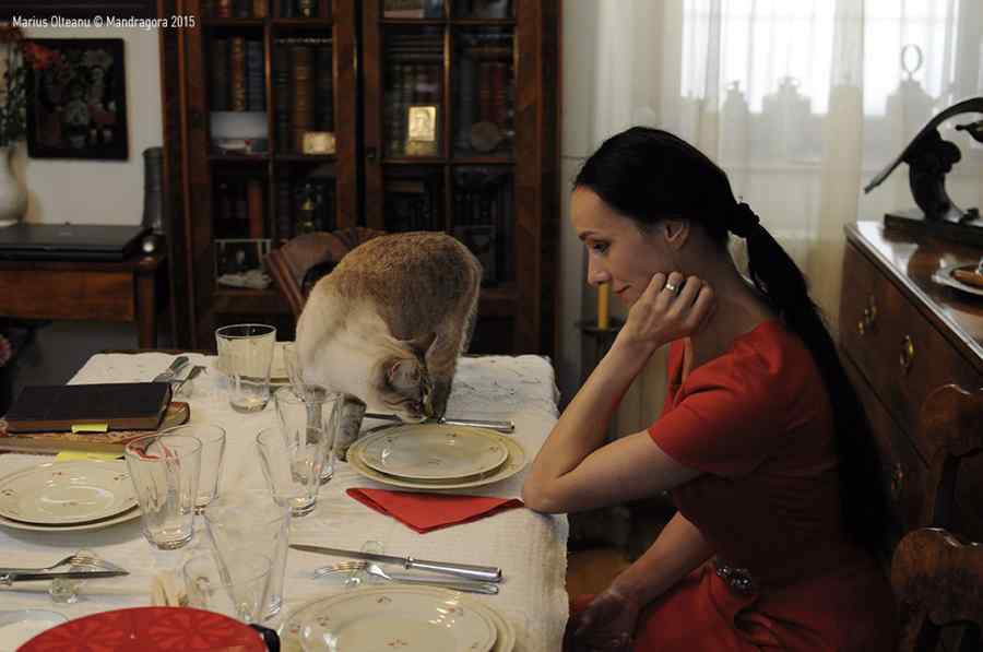 Ediţia jubiliară a Festivalului Filmului Românesc de la München