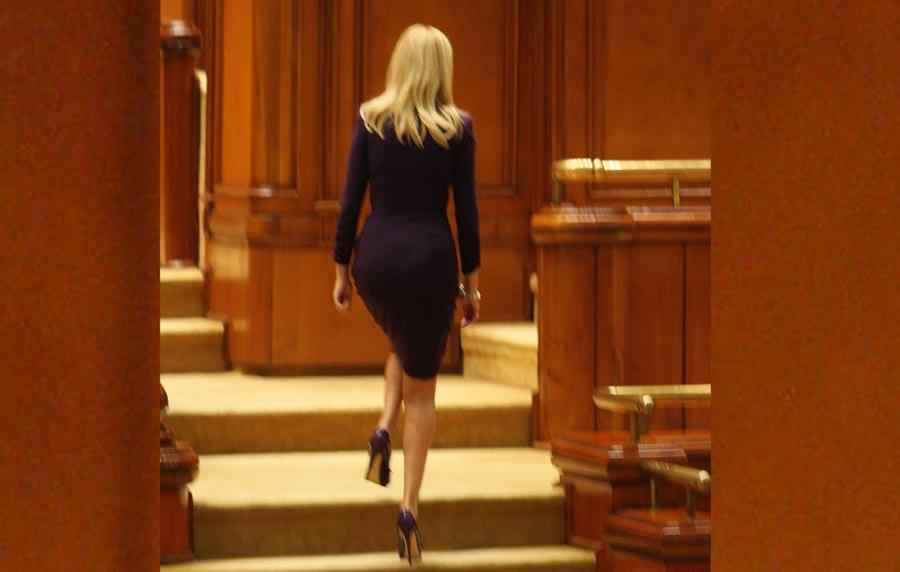 Elena Udrea află dacă poate fi din nou arestată