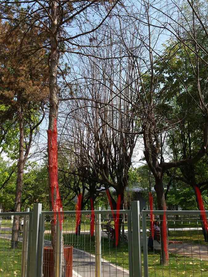 “Dezastru ecologic” în Parcul Drumul Taberei