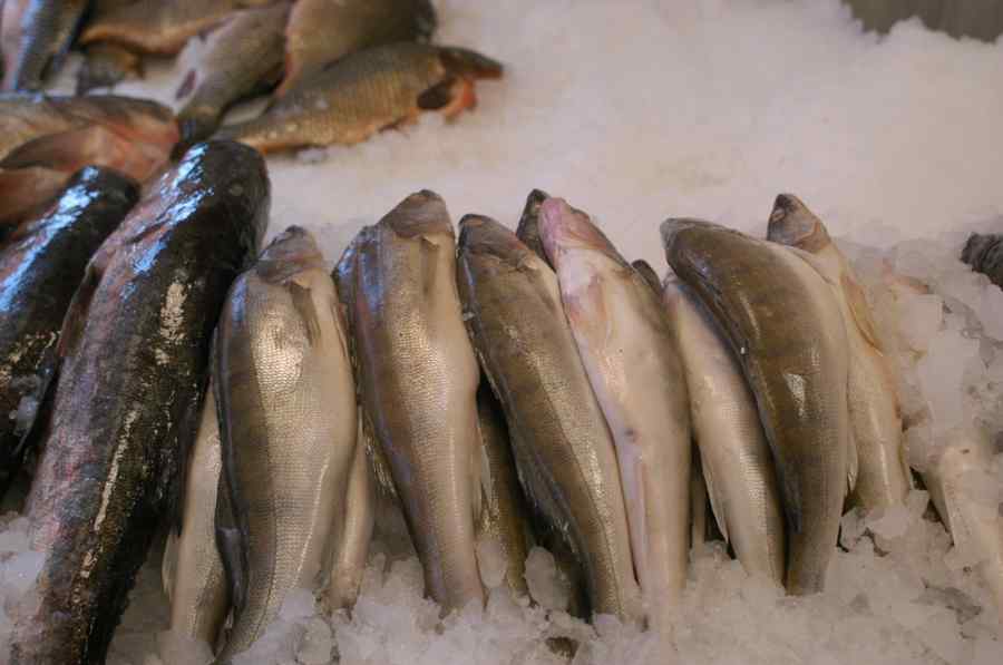 Cele mai mari pericole ale consumului de pește