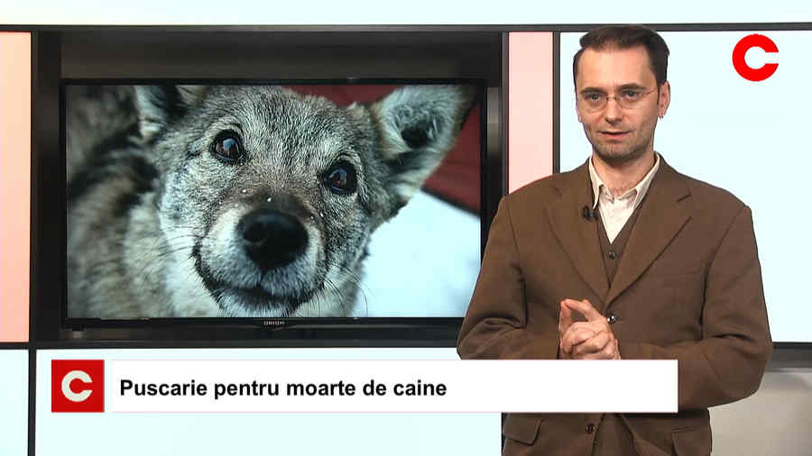 Jurnal 7:30, 17 noiembrie 2017