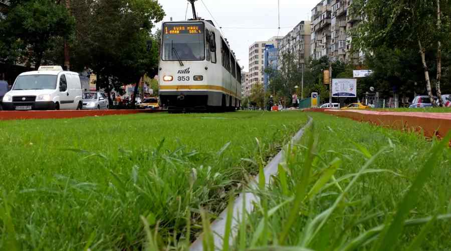 Cu tramvaiul la iarbă verde (foto)