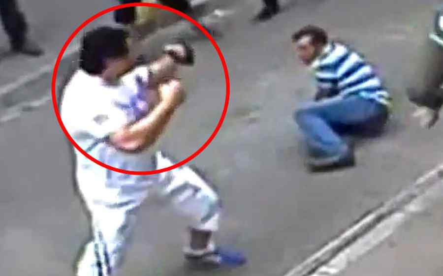 Video. Buticarii turci și-au găsit nașul – un boxer irlandez