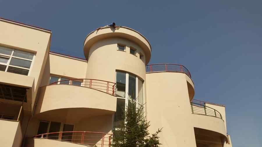 Meserie pe muchie de… acoperiş