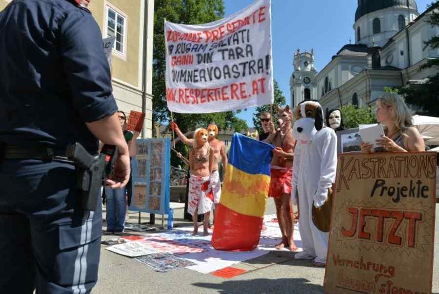 Moment inedit în timpul vizitei lui Iohannis în Austria