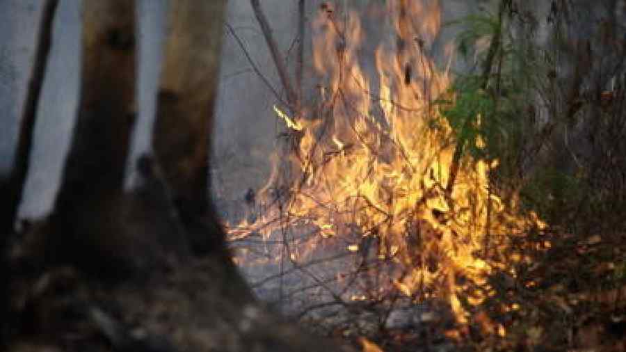 Incendiu devastator la un centru de echitaţie