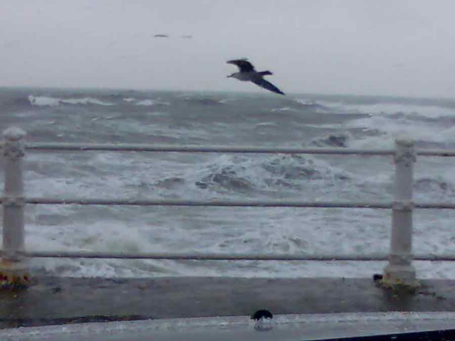 Iaht scufundat în portul Tomis din Constanța