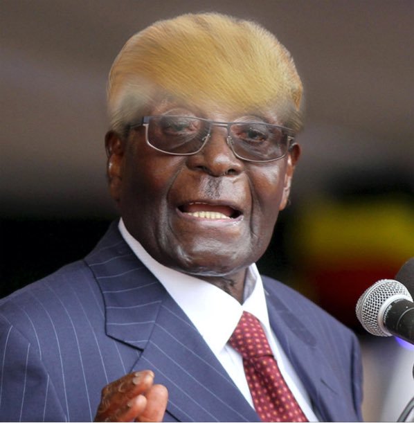 Mugabe se prăbușește