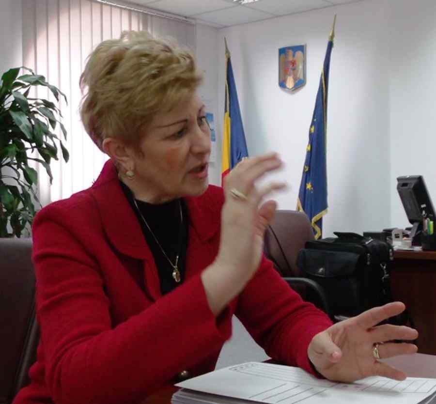Livia Stanciu și șeful CSM, la Parlament