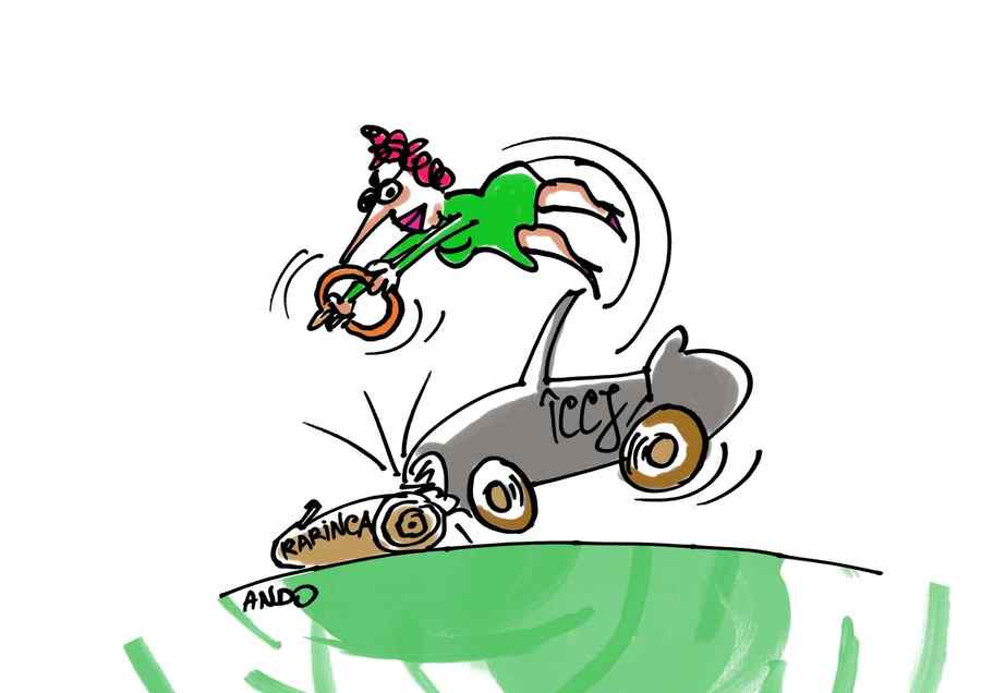 Buturuga mică a Liviei Stanciu