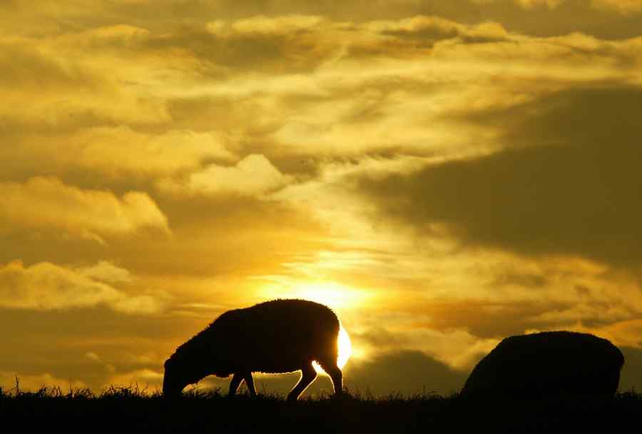 Solstiţiul de vară