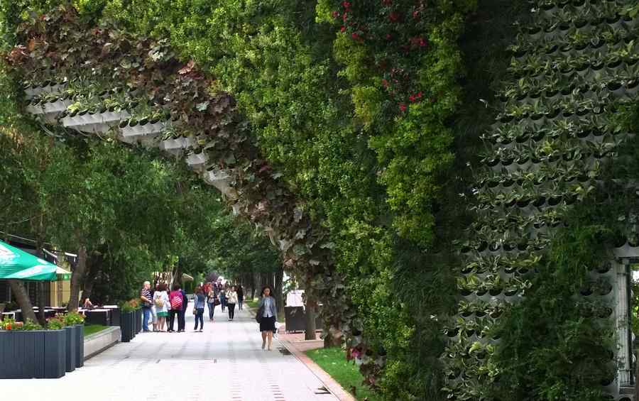 „Zidul ruşinii” de pe Bulevardul Unirii s-a transformat într-un loc plin de verdeață