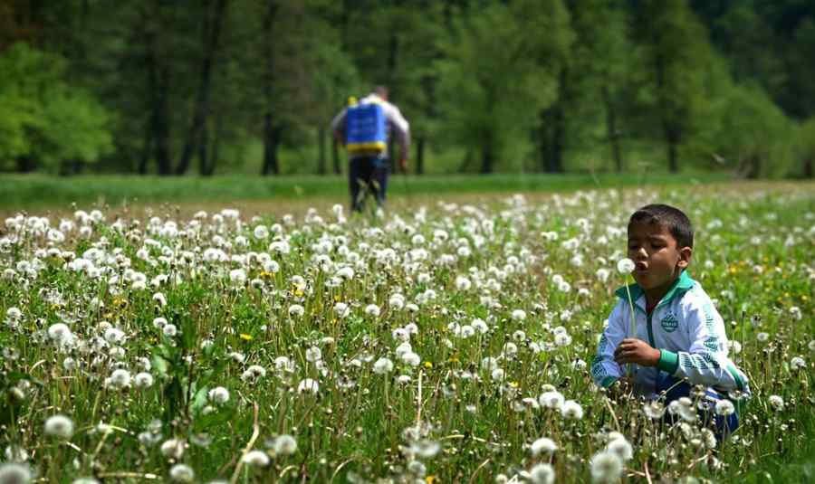 Preocupări de weekend în zona rurală (foto)