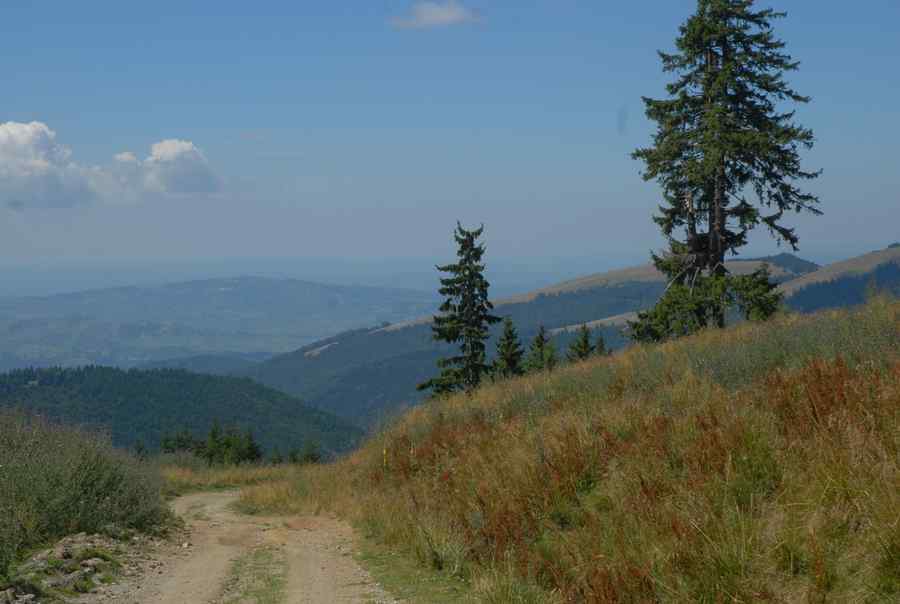 Turiști rătăciți în Munții Bucegi