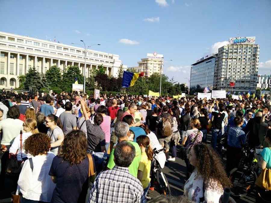 Aşteptăm la DNA fabrica de cherestea!