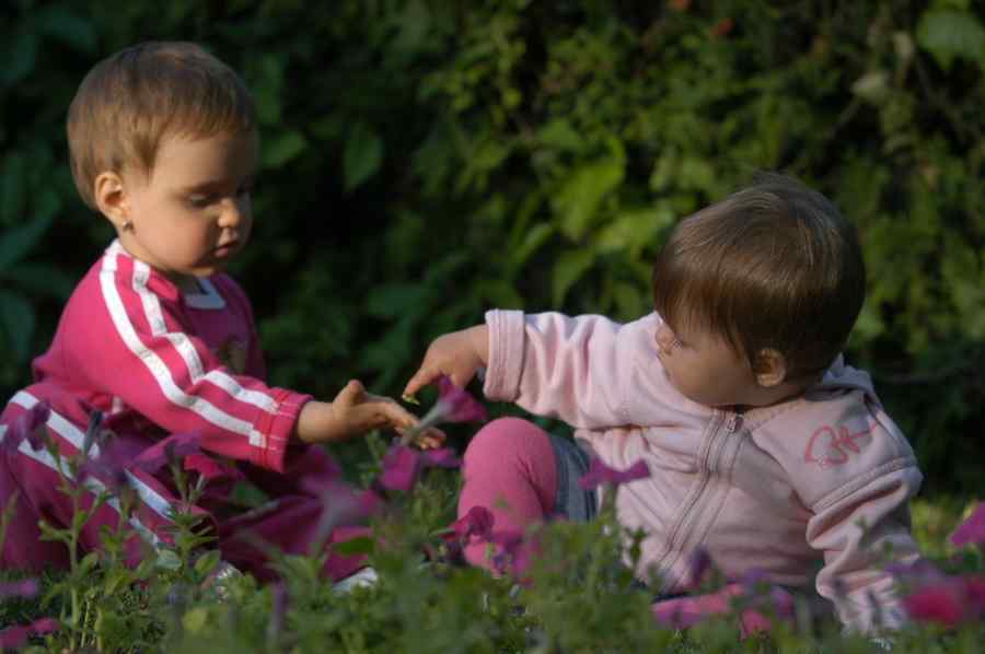 Copiii, intrare liberă la Grădina Zoologică
