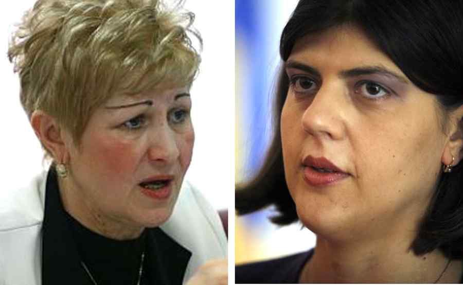 Falsuri grosolane în rechizitoriul cazului „Livia Stanciu vs Mariana Rarinca”