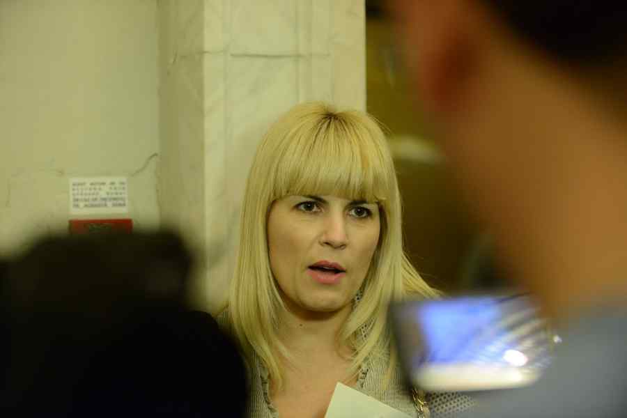 Elena Udrea, anchetată într-un nou dosar